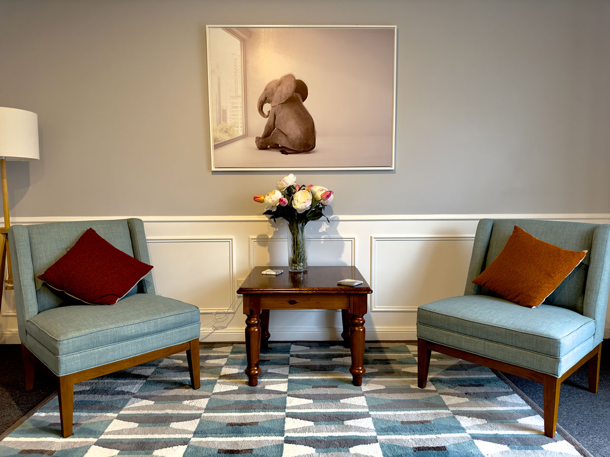 Interior photo of waiting room with 2 chairs, a side table and a framed painting on the wall of a baby elephant sitting and looking out the window